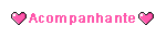 Acompanhante